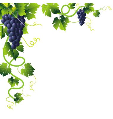 Grapevine clipart banner. Free vine cliparts download