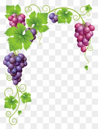 grapevine clipart clip art
