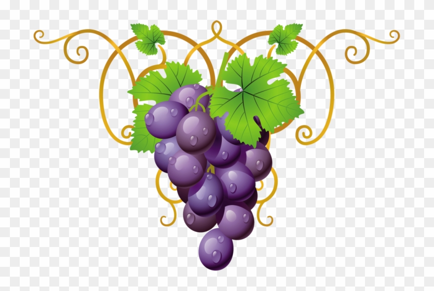 grapevine clipart decoration