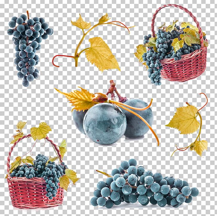grapevine clipart decoration