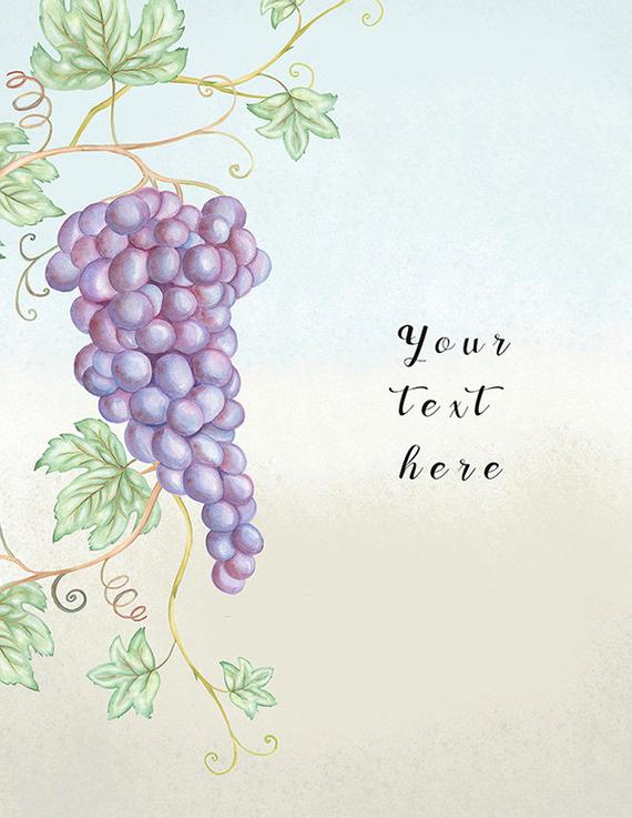 grapevine clipart decorative vine
