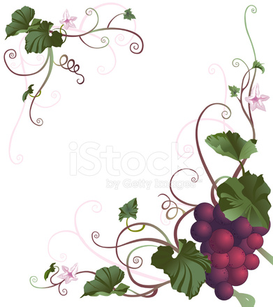 grapevine clipart divider