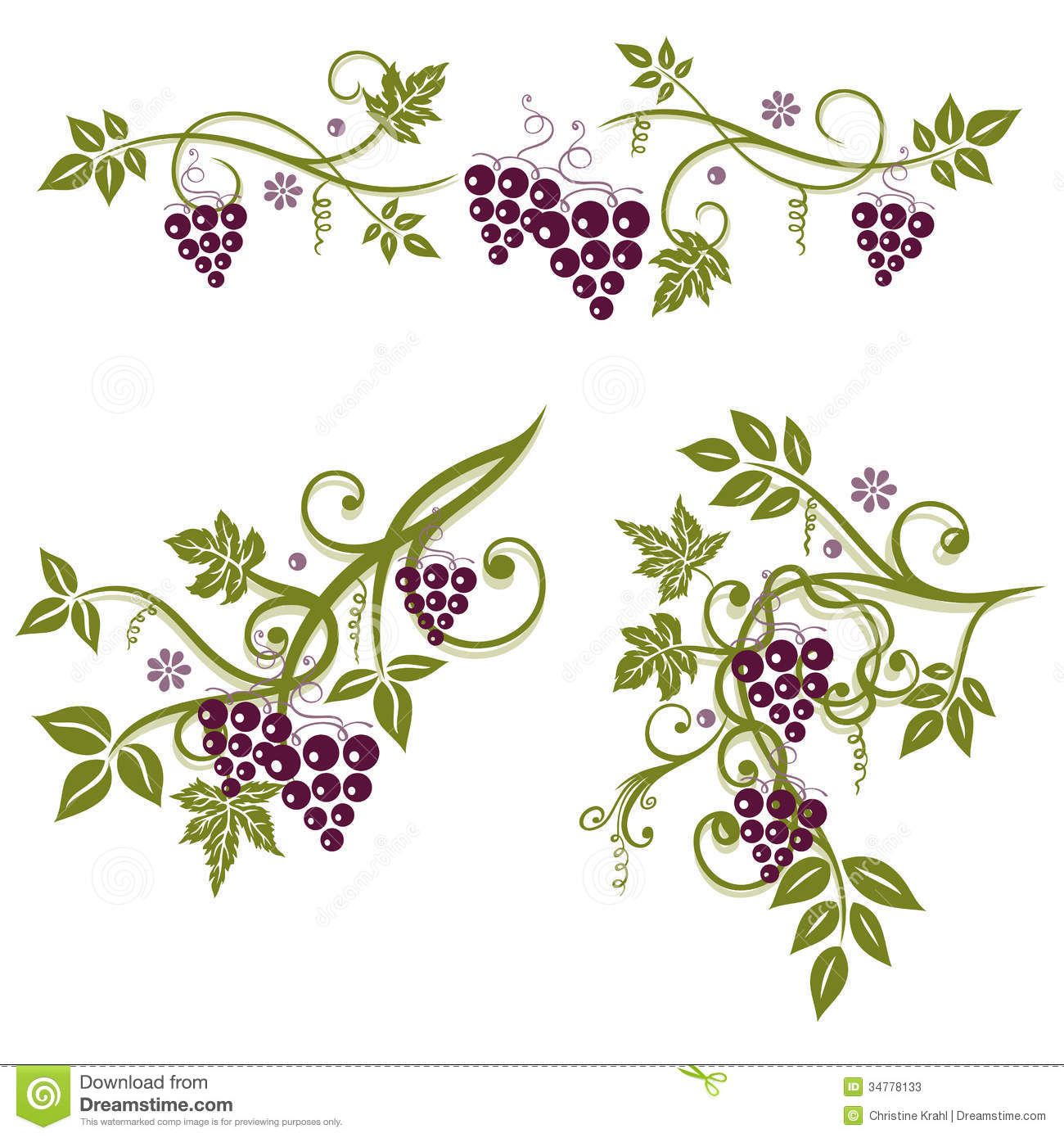 grapevine clipart flower vines