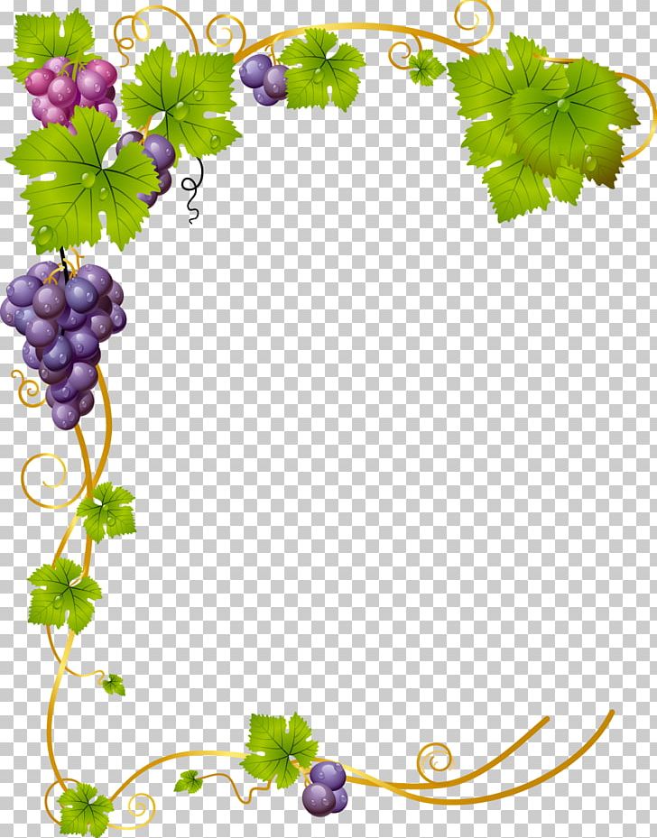 grapevine clipart frame