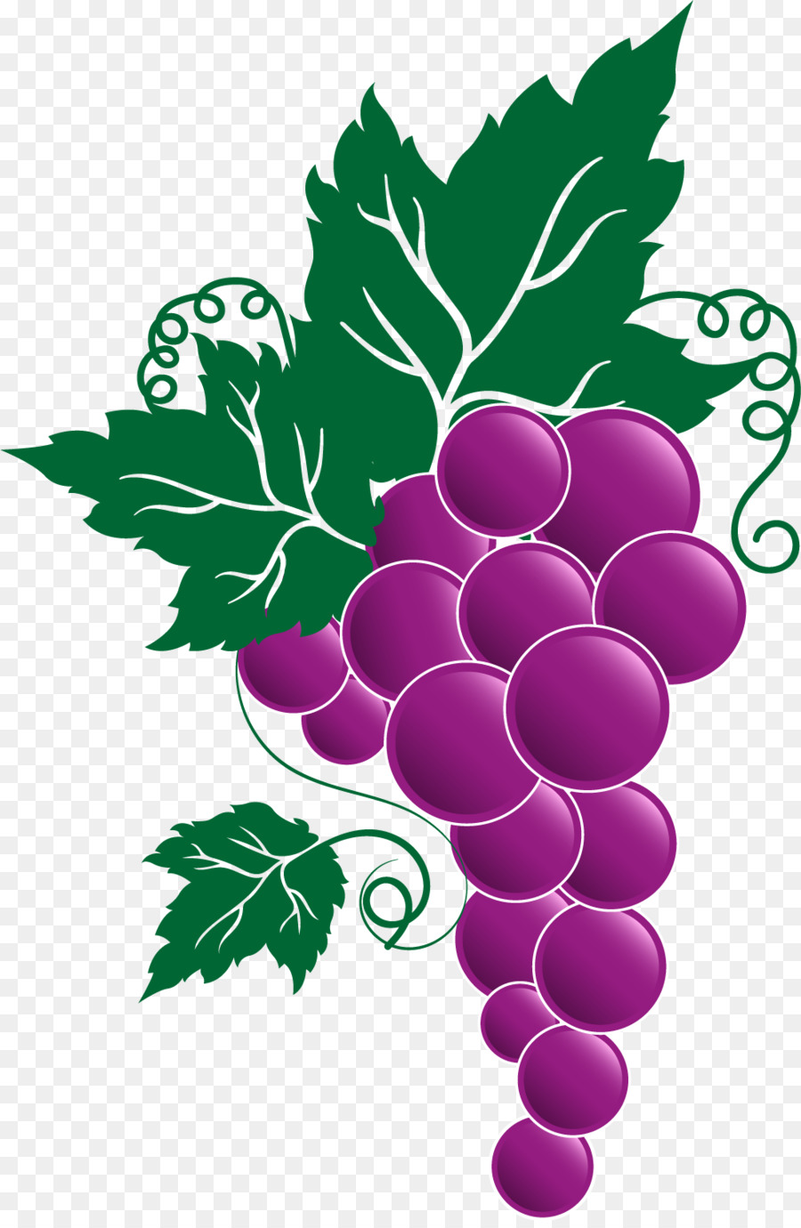 grapevine clipart grape italian