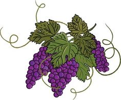 Grapes art on vines. Grapevine clipart grape italian
