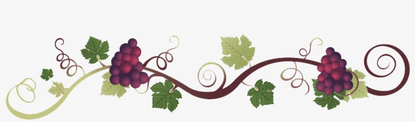 Grapevine clipart grape italian. Italy vine transparent 