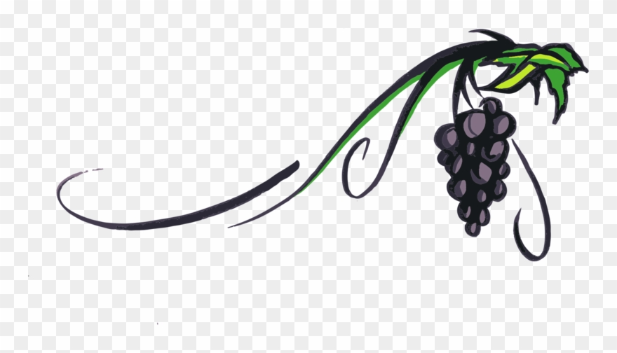 grapevine clipart scroll