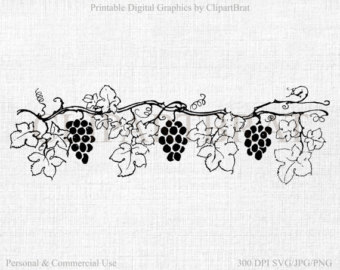 grapevine clipart stencil
