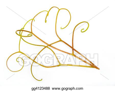 grapevine clipart tendril