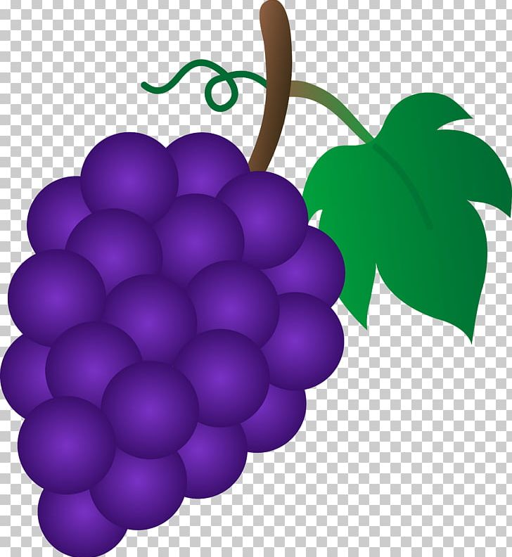 grapevine clipart violet