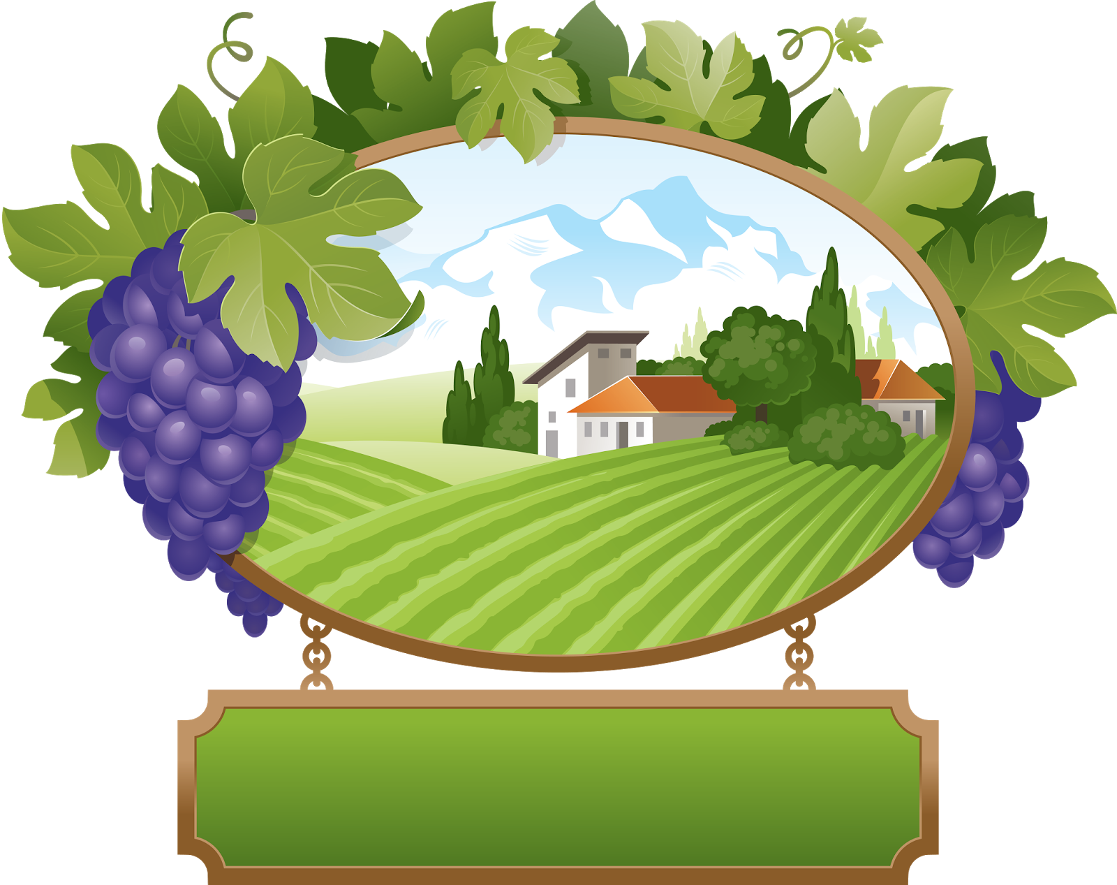 Forgetmenot fruits grapes. Grapevine clipart western