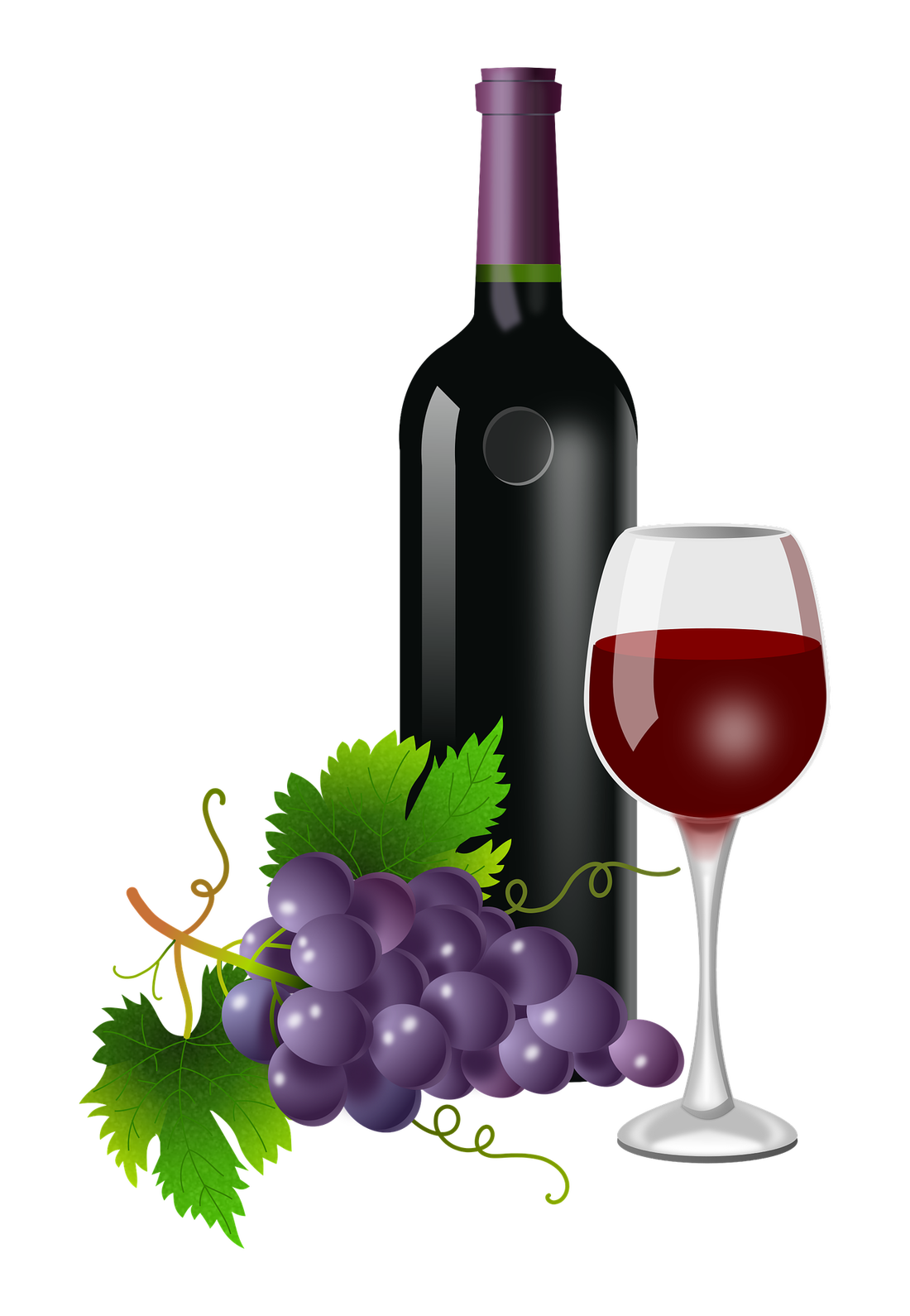 grapevine clipart wine glass