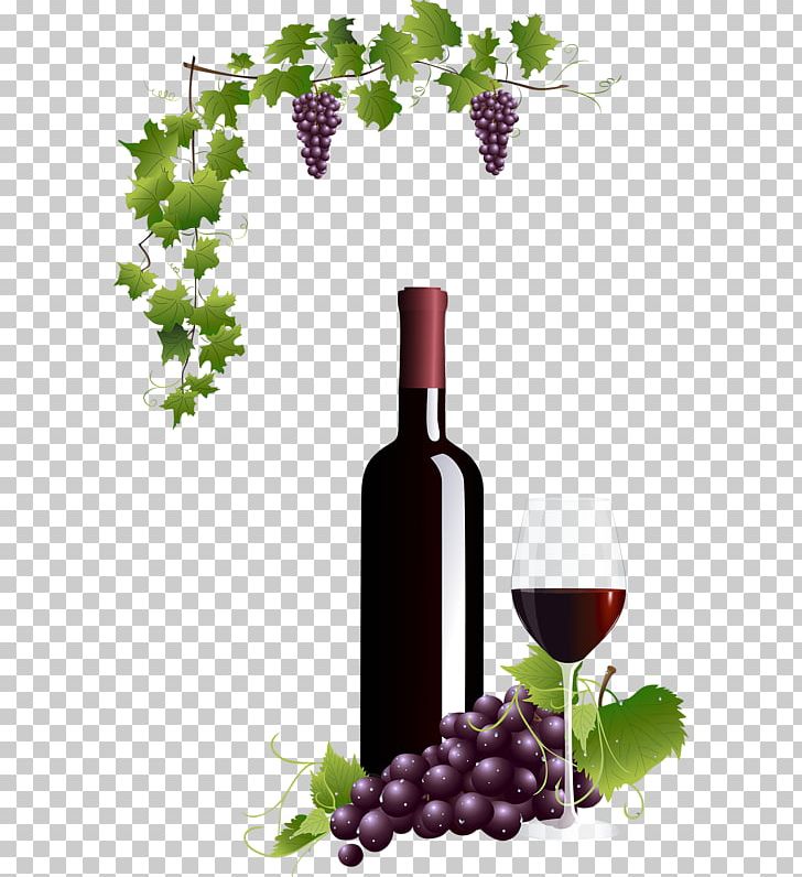 grapevine clipart wine glass