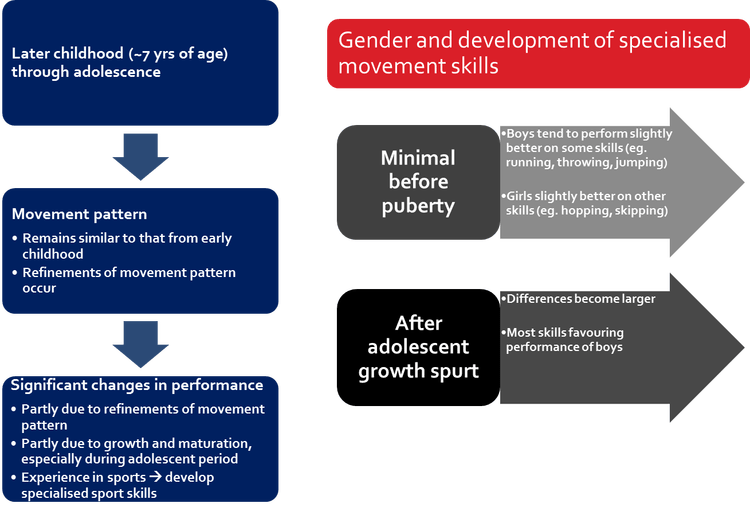 Hse human development and. Graph clipart growth spurt