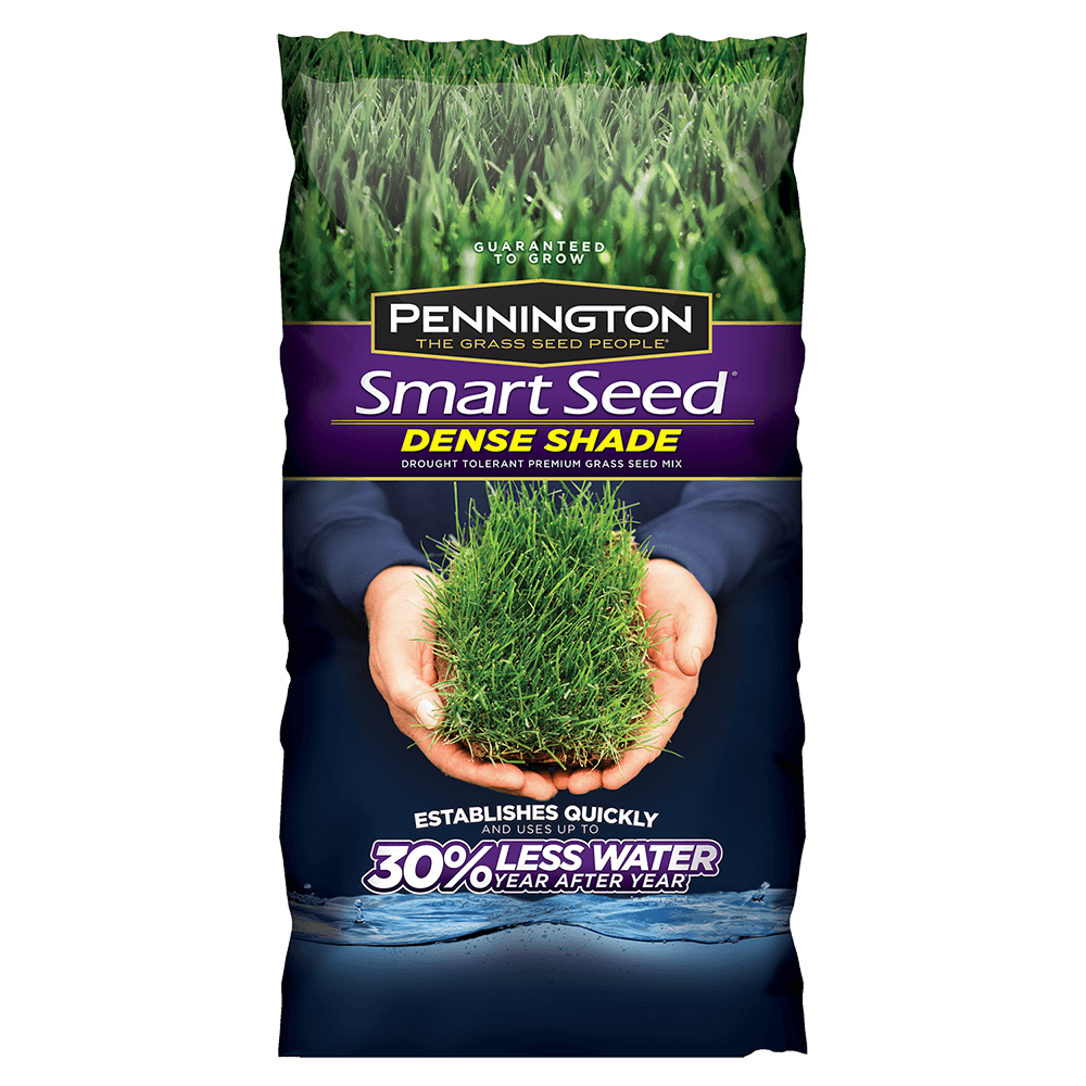 Seedling clipart top soil. Smart seed dense shade