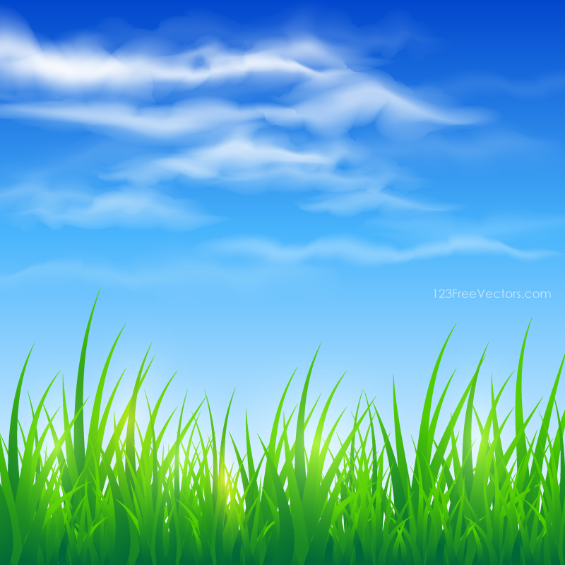Sky and green nature. Grass clipart blue background