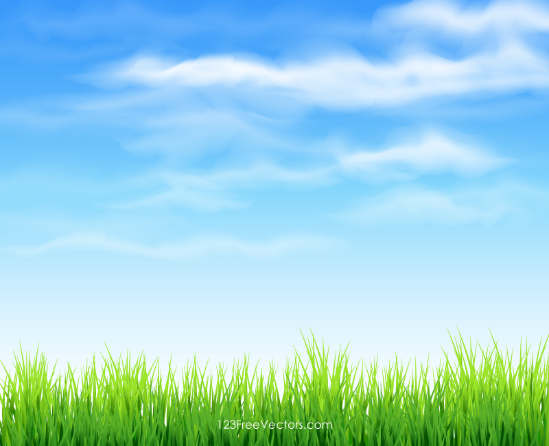 Grass clipart blue background. Gro himmel tm backgrounds