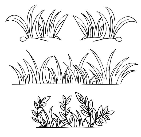 grass clipart drawing