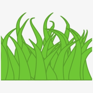 grass clipart drawing