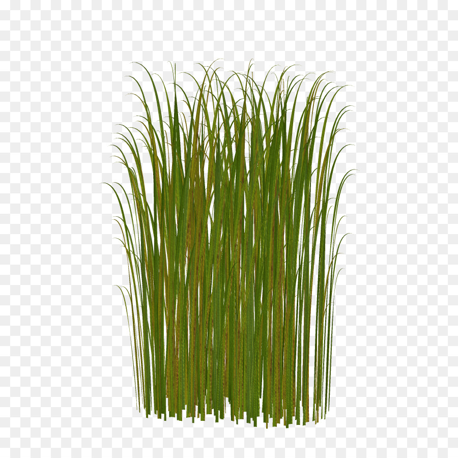 grass clipart fodder
