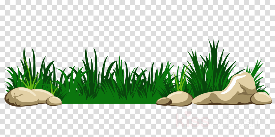 Tree transparent png image. Grass clipart food