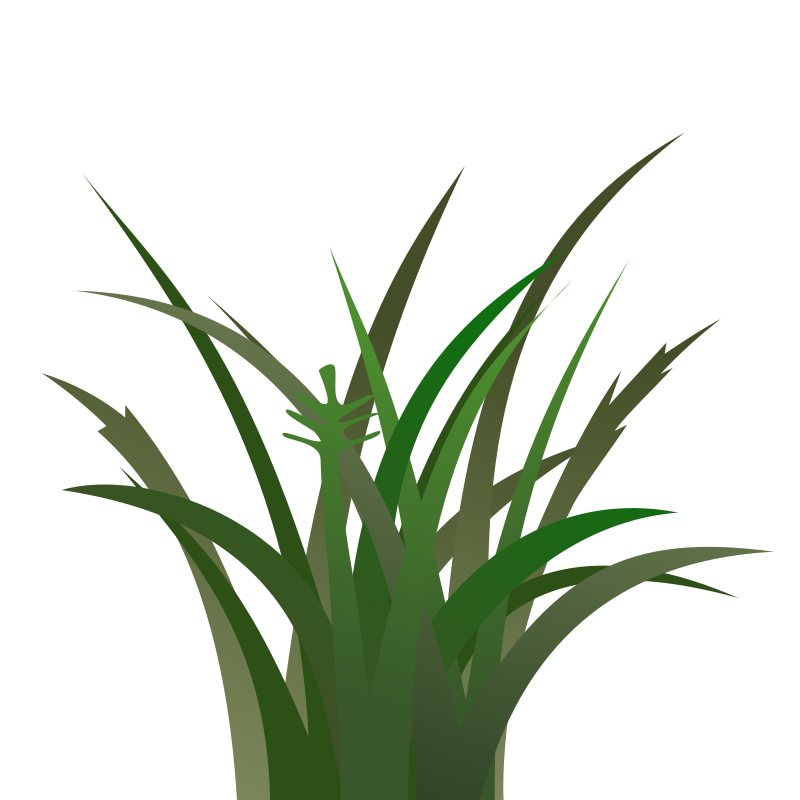 Grass clipart forest grass. Silhouette free at getdrawings