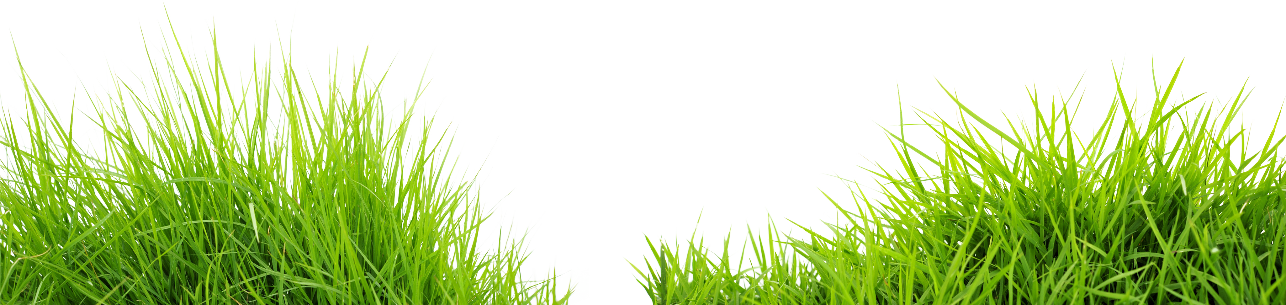 Grass clipart grassland. Png image purepng free