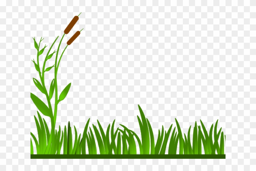 Grass clipart grassland. Banner royalty free on
