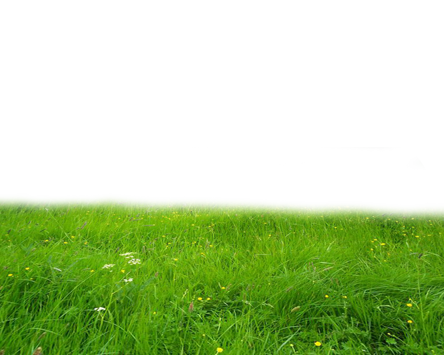 outdoors clipart grassy meadow