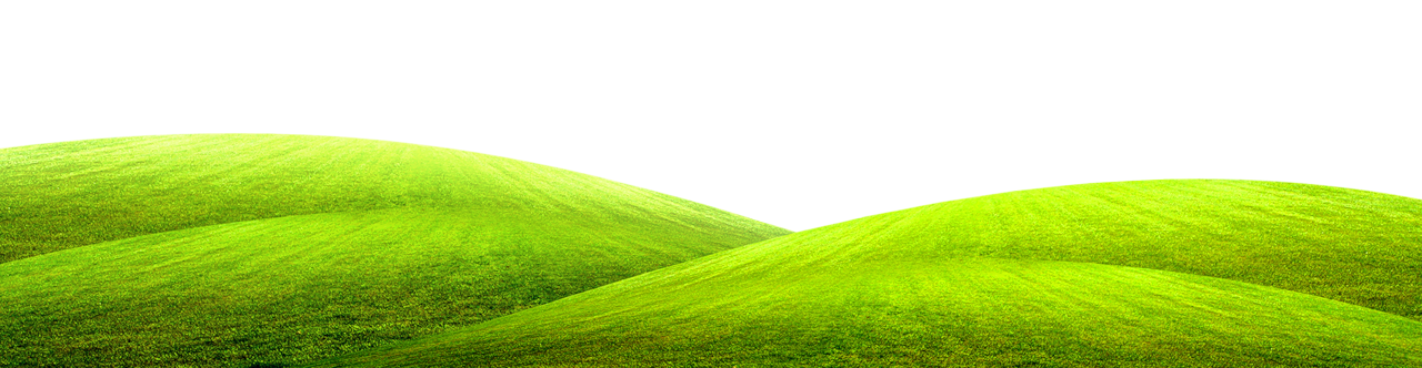 Hill green grass