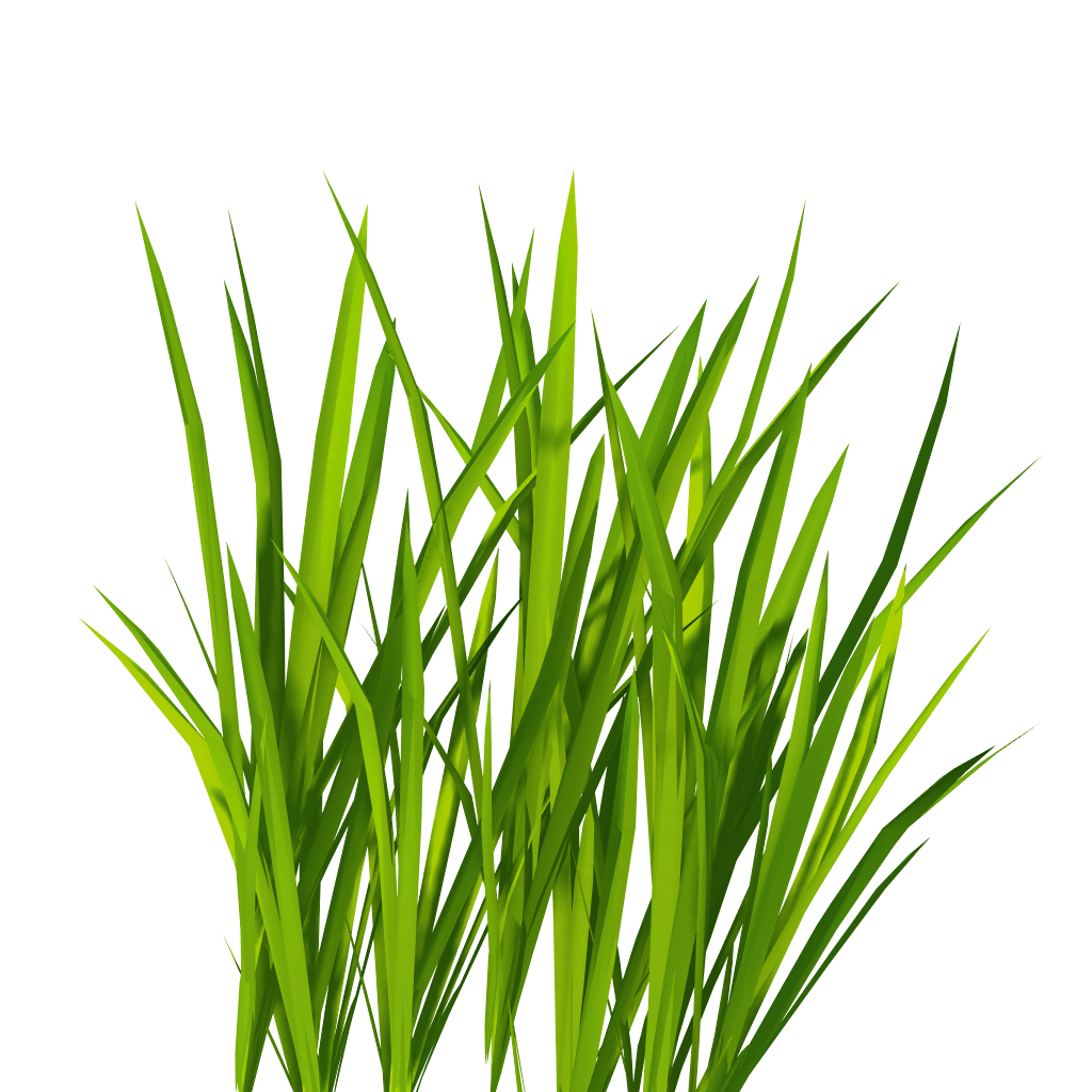 grass clipart herbs