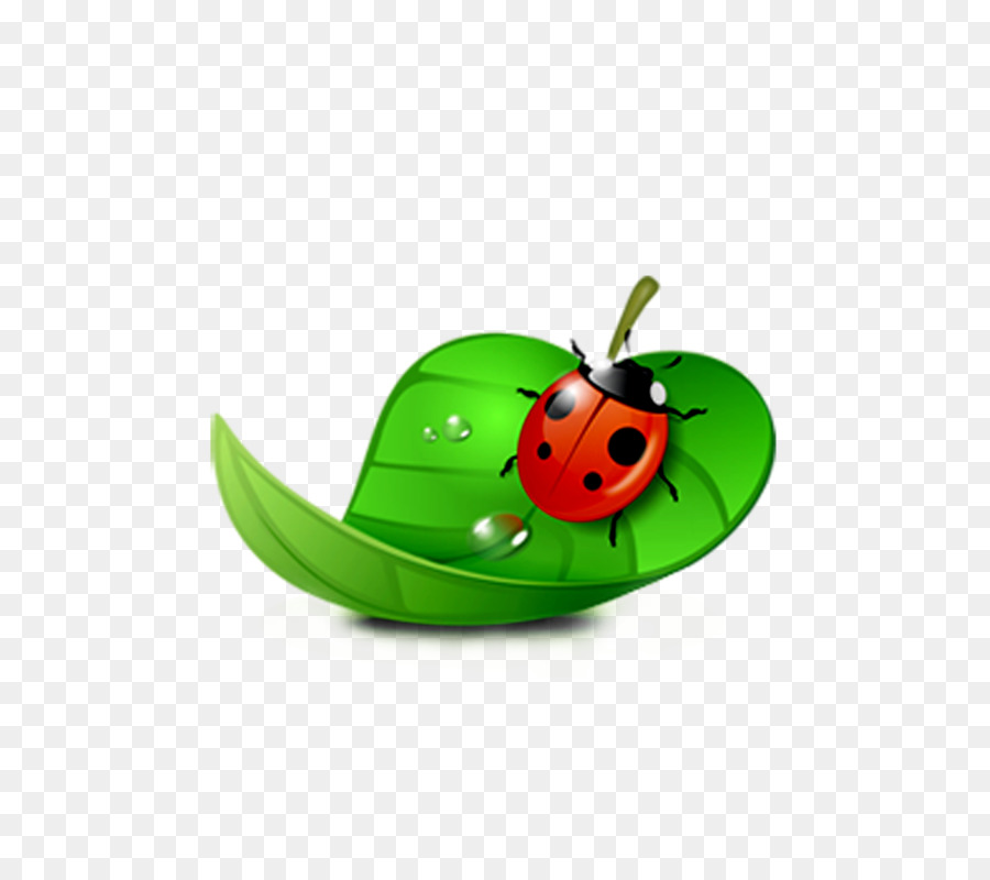 Green background png download. Grass clipart ladybug