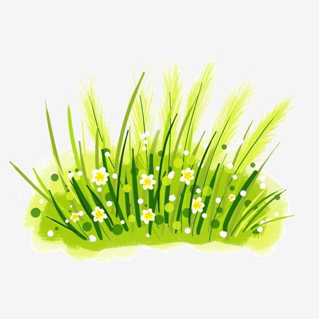Grass clipart light green. Small fresh flowers 