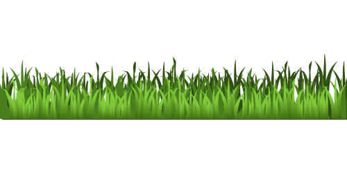 grass clipart meadow