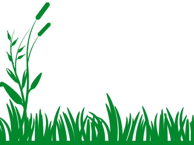 Grass clipart mud. Free download clip art