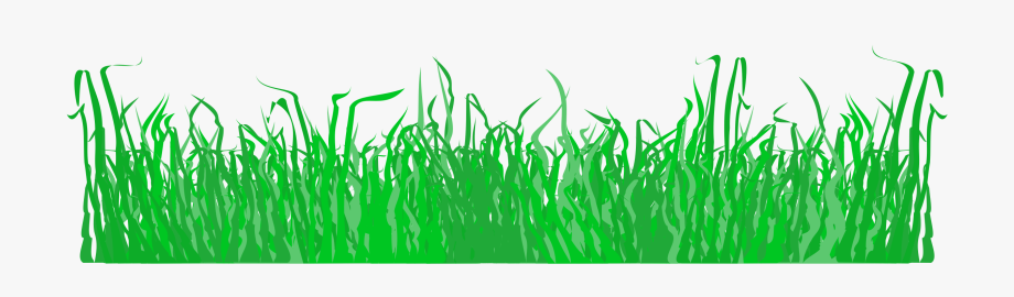 grass clipart pdf