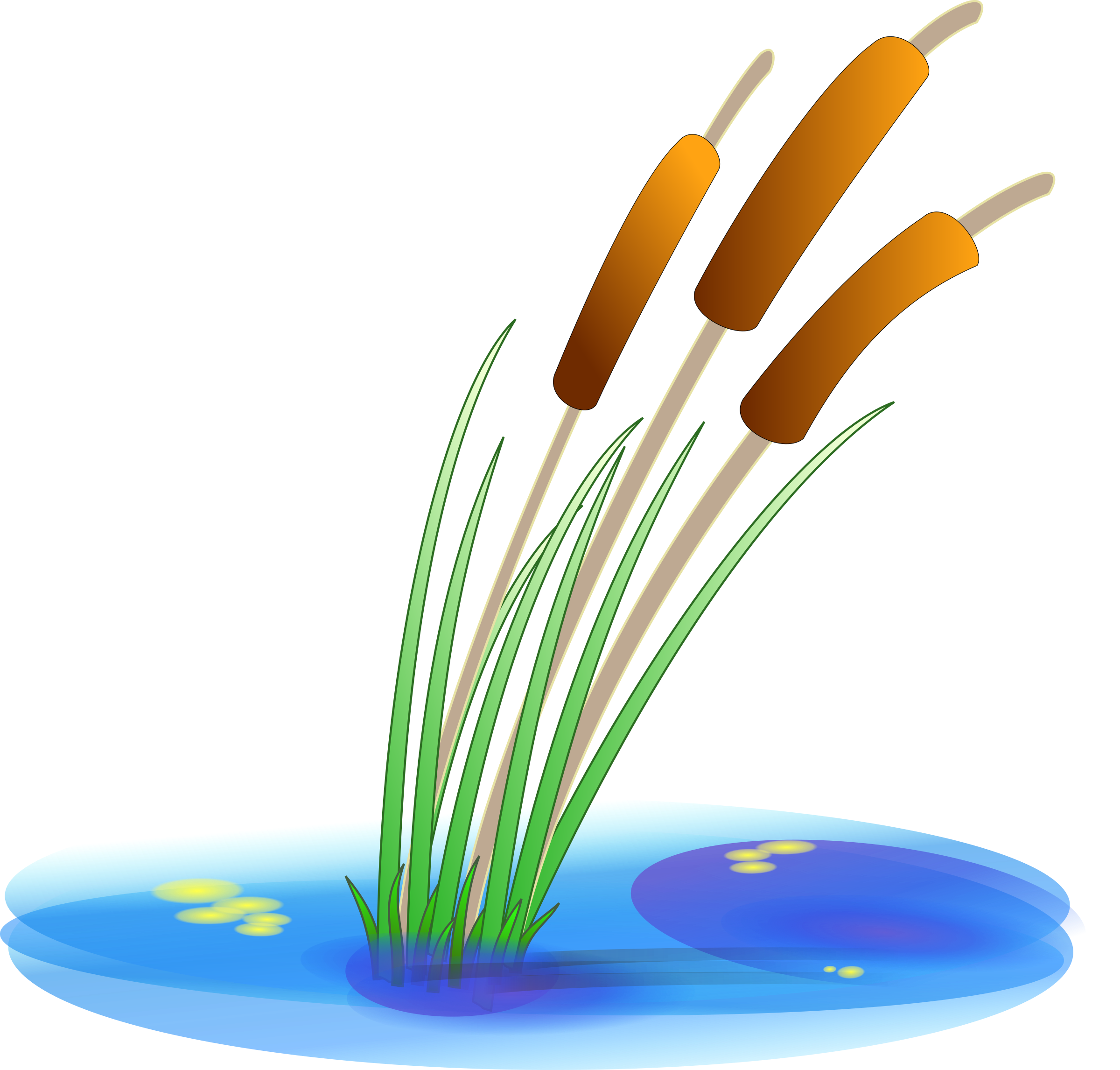 grass clipart reed grass