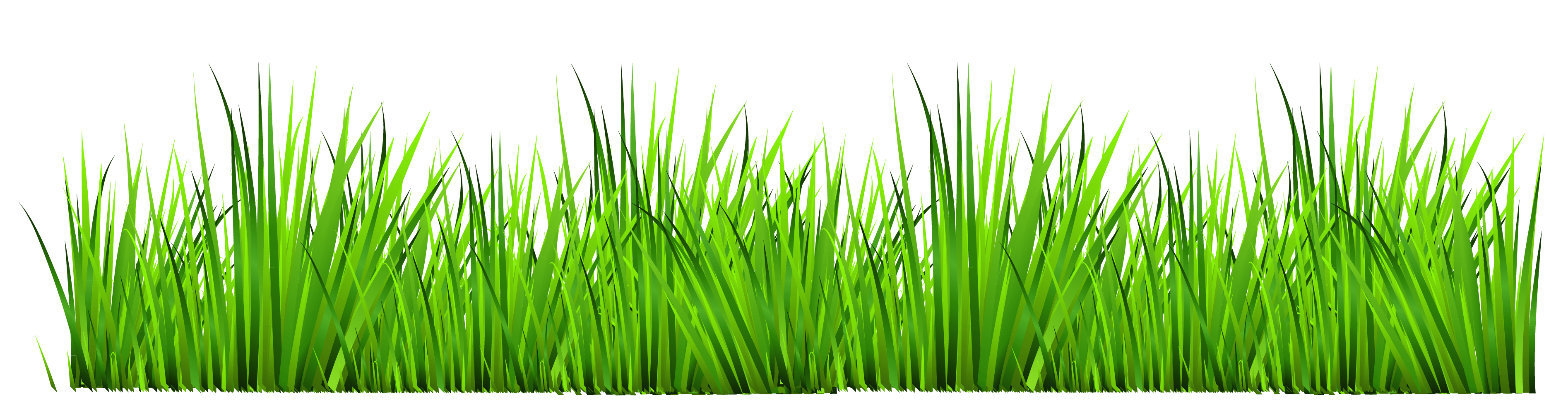 grass clipart row
