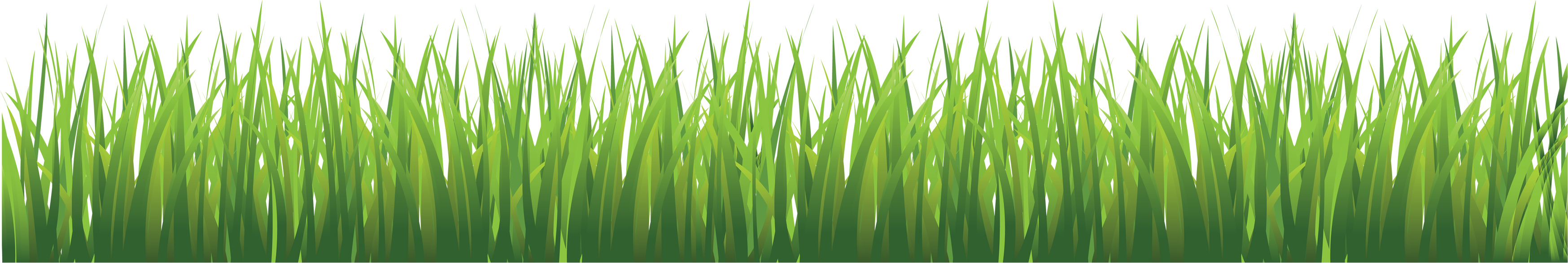 Grass transparent background