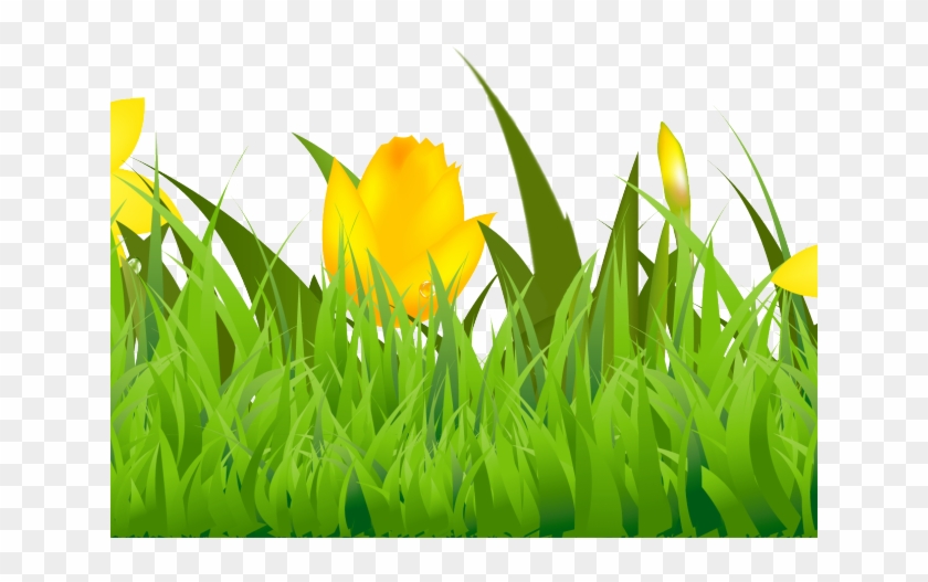 Lawn field hd png. Grass clipart tulip