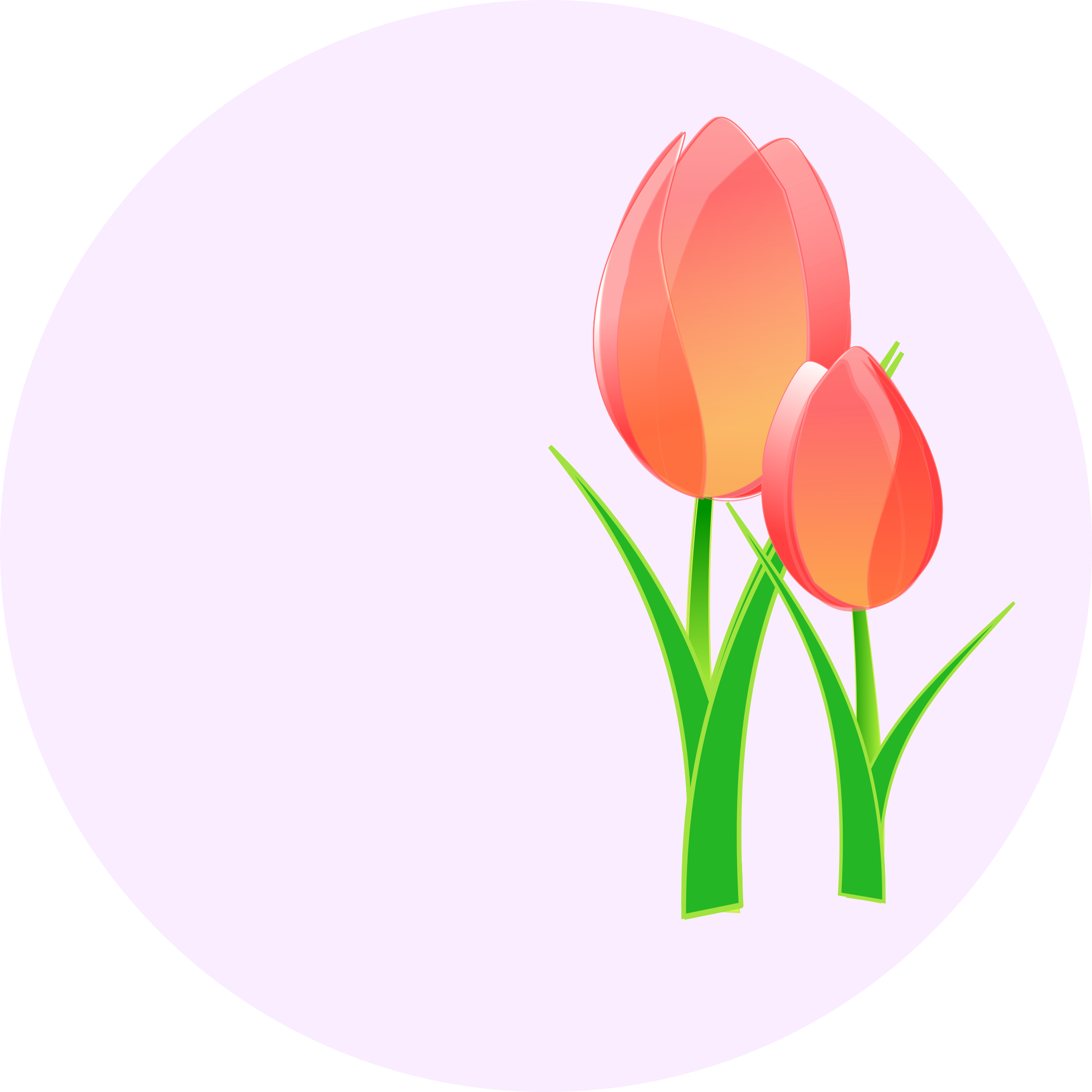Grass clipart tulip. Tulips big image png