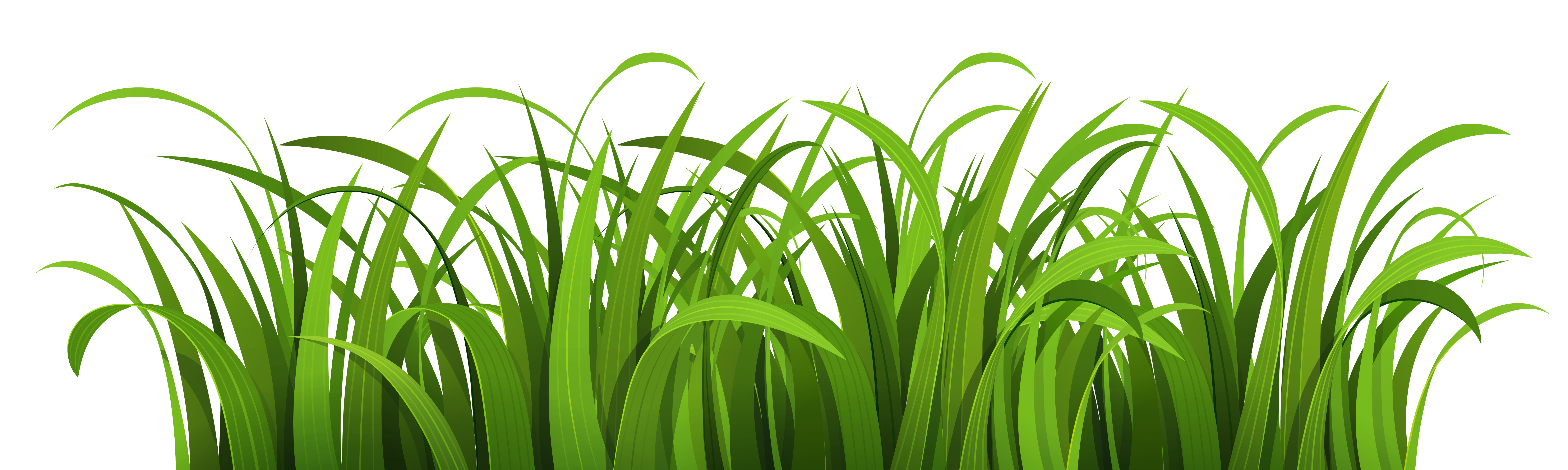 grass clipart vector