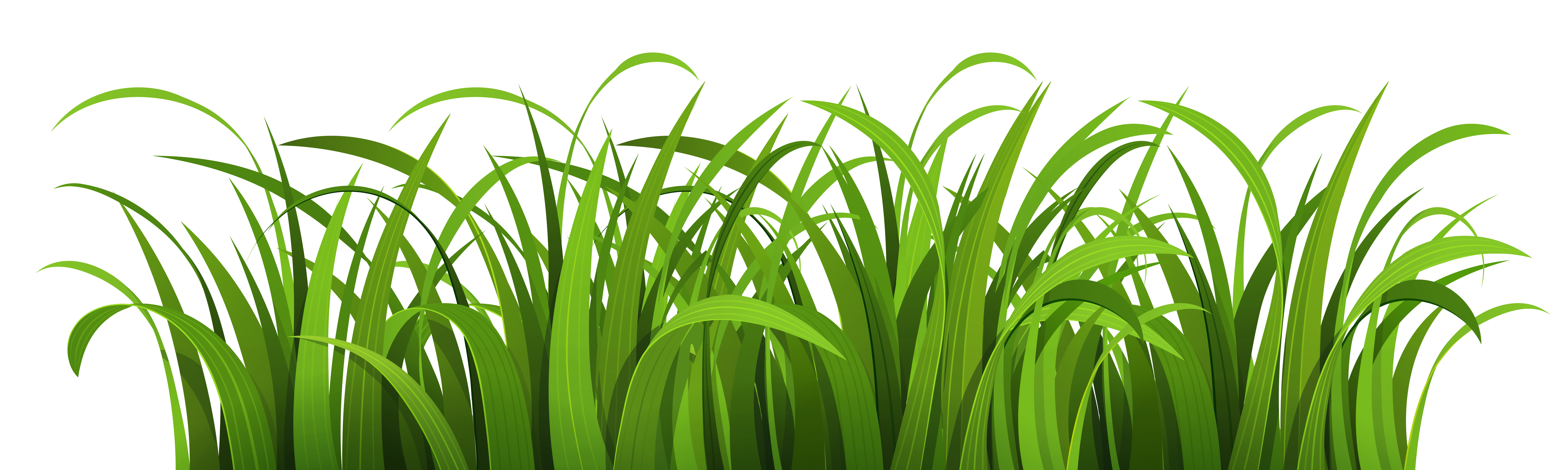 Download Grass clipart vector, Grass vector Transparent FREE for download on WebStockReview 2020