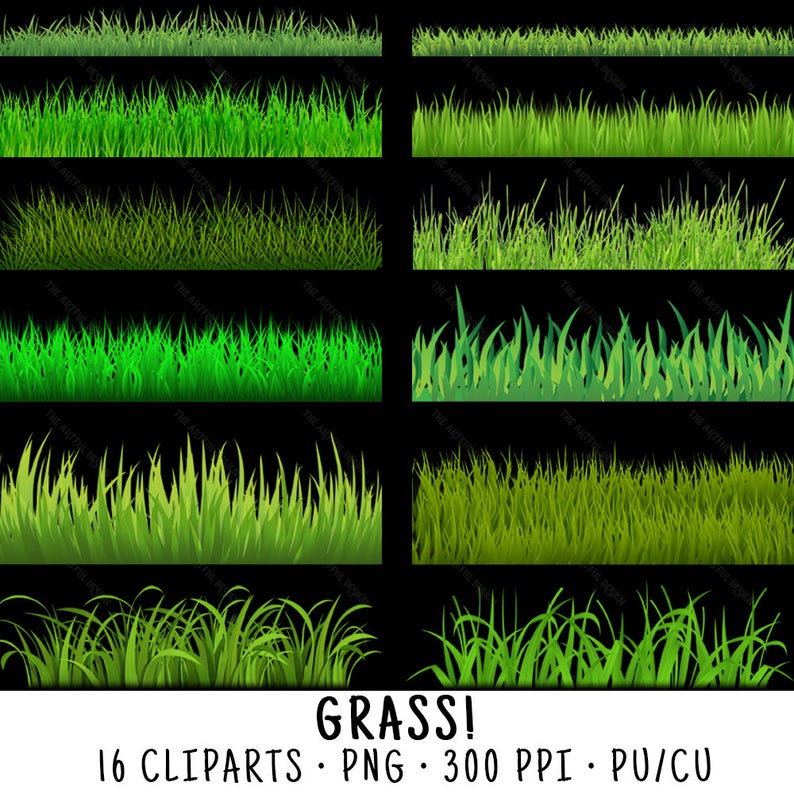 Grass clipart wild grass. Clip art png 