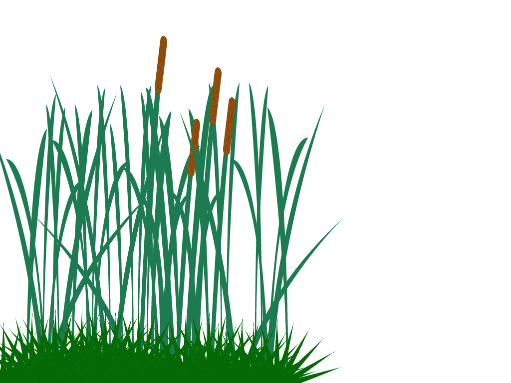 Grass clipart wild grass. Tall transparent png pictures