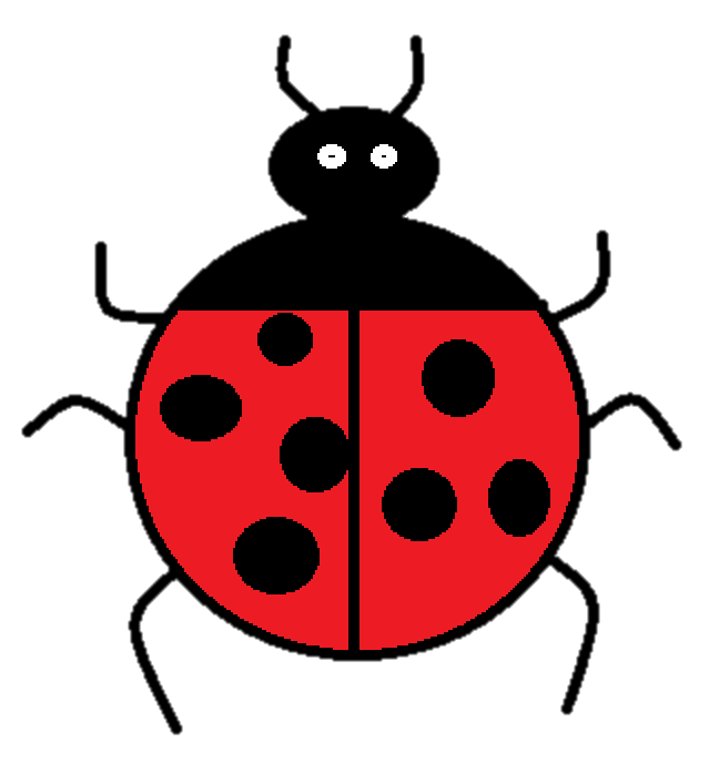 short clipart red beetle
