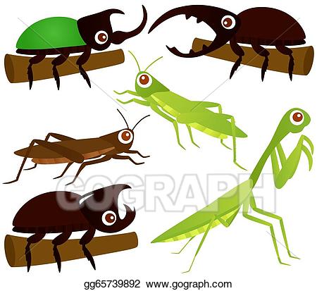 Grasshopper clipart bettle. Vector art beetle praying