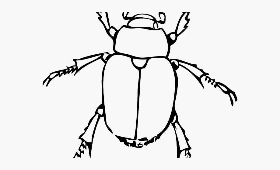 Cute clip art beetle. Grasshopper clipart bettle