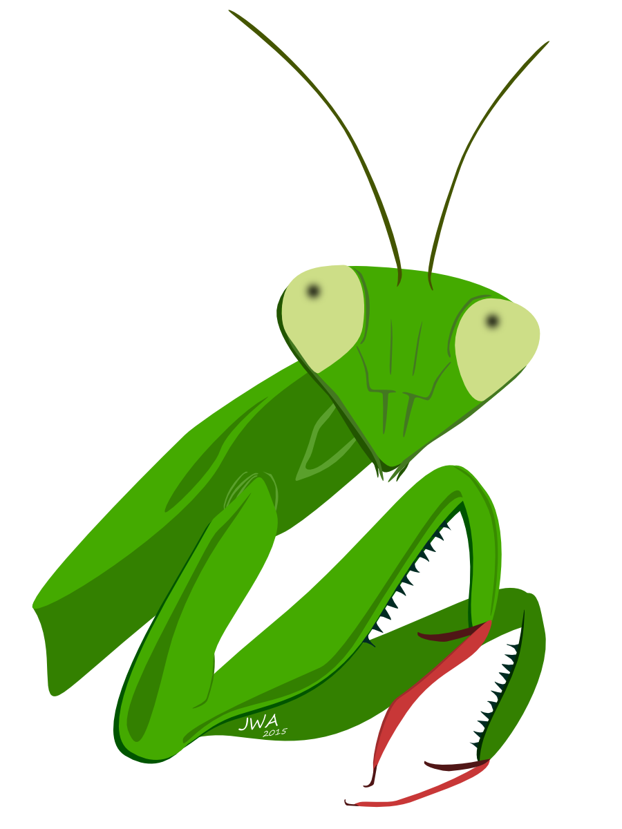 insect clipart kawaii